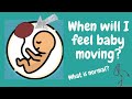 When Will My Baby Start Kicking? Anterior vs Posterior Placenta | CajunStork Shorts