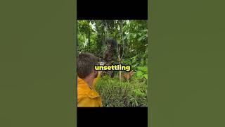 He Came Across a Cannibal Tribe