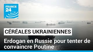 Exportations de céréales ukrainiennes : Erdogan en Russie pour tenter de convaincre Poutine