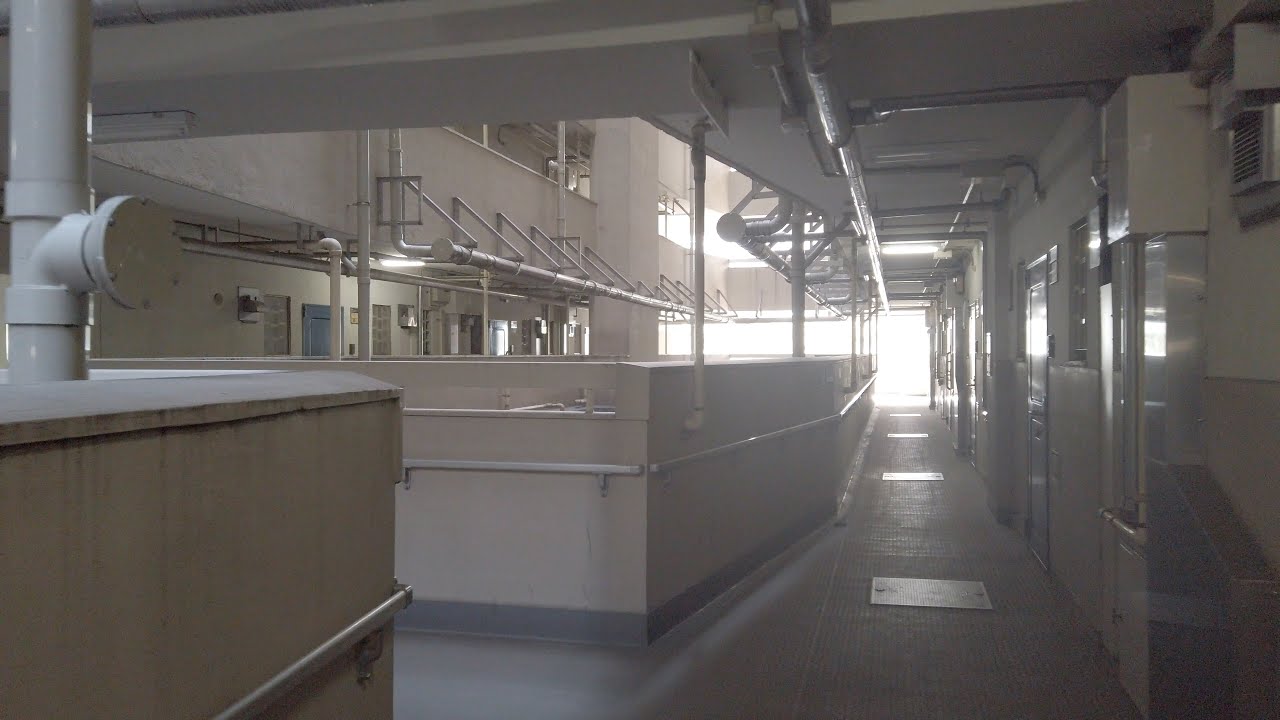 散歩｜高島平団地 Takashimadaira Apartment 2020/03/01