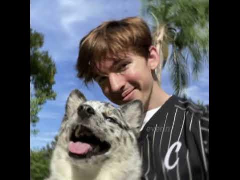 flamingo / albert birthday edit || pumped up kicks - YouTube