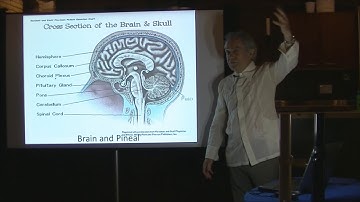 Dr. John Stewart short presentation -  Subtle Energy, Bioenergetic Healing, Radionics & Radiesthesia