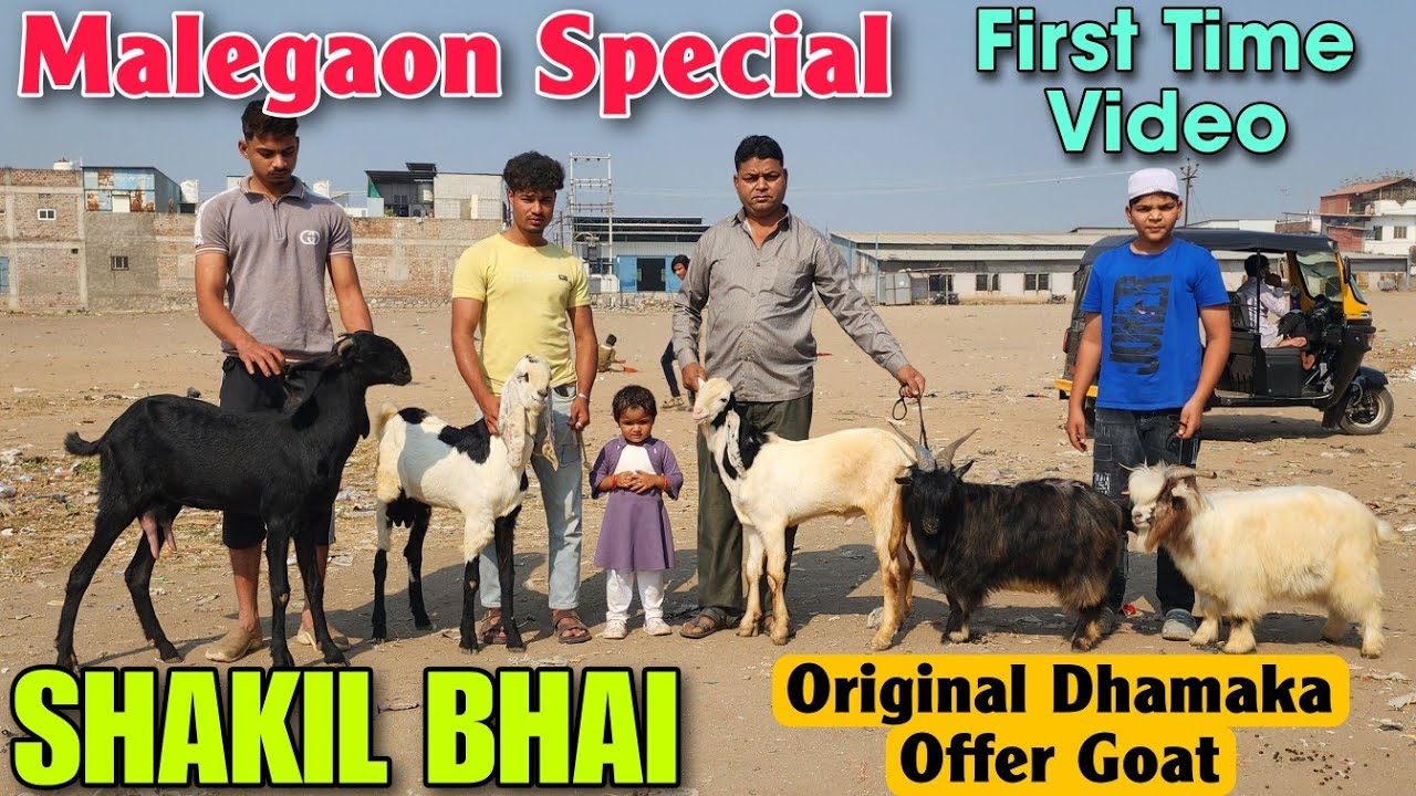 Bahi Shakil R R Malegaon Special Dhamaka Goat Offer At SHAKIL BHAI | 2025 Goat ...