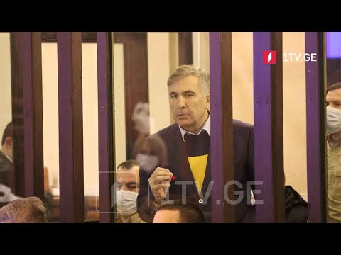 მიხეილ სააკაშვილის პოლიტიკური გეგმები