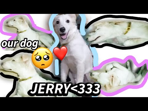 Ang aming munting bantay🫶😍*ang anak kong lalaki* | VLOG #34 | PHILIPPINES