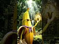 Banana jungle adventure #banana #bananafunny #bananashake #bananabread