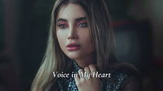 Imazee - Voice in My Heart (Extended Mix) Resimi