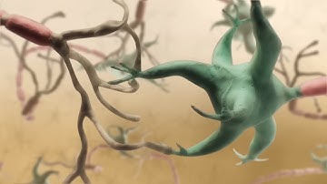 how a synapse works