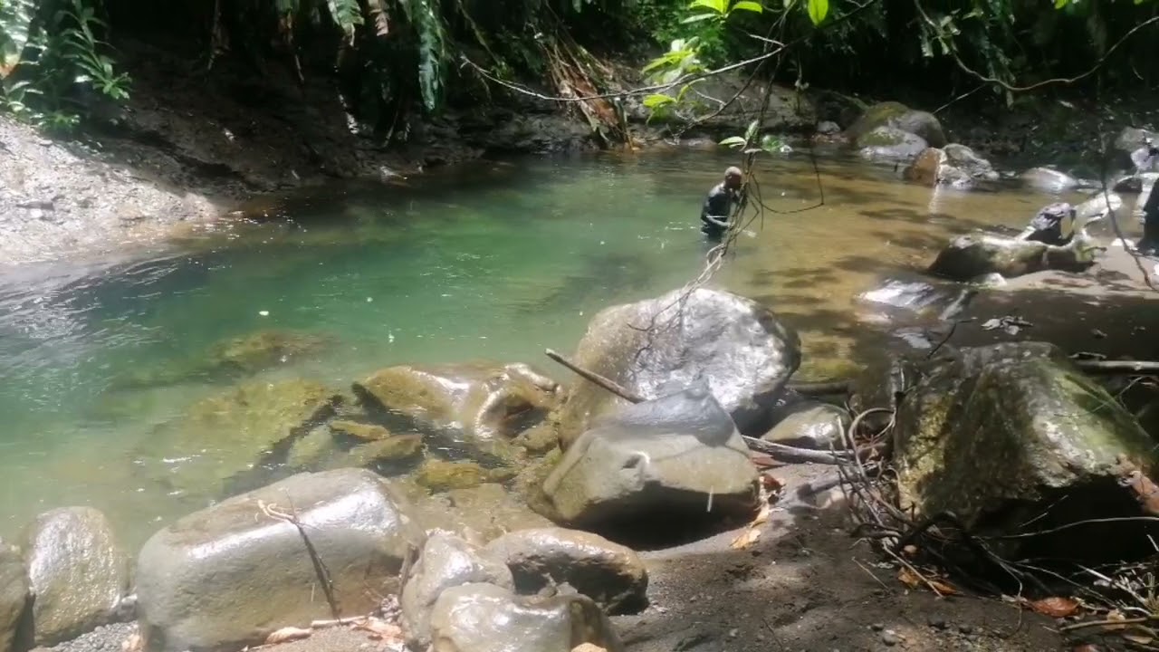 Cross Country Hike in St. Vincent (Jennings Valley to Richmond River)
