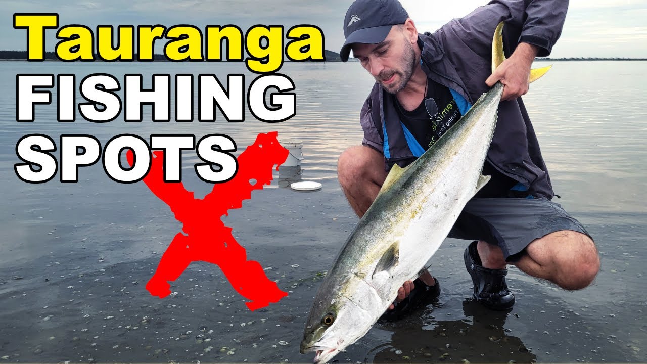 The Best FISHING SPOTS Around Tauranga New Zealand YouTube the-best-fishing-spots-around-tauranga-new-zealand-youtube