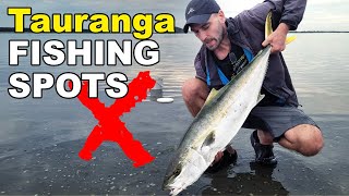 The Best FISHING SPOTS around Tauranga, New Zealand