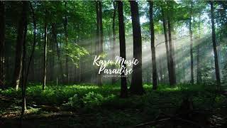 Karu Music Paradise Live Stream