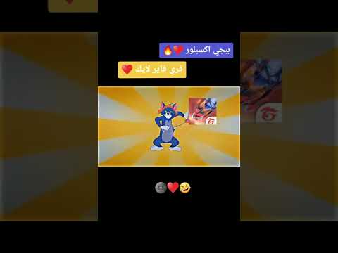 توم صاير كونغ فو و ما حدا يعرف 