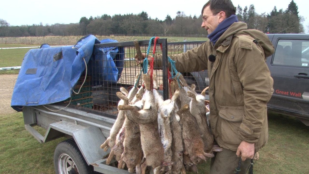 Hardcore ferreting / rabbit hunting with Simon Whitehead YouTube