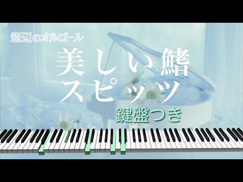 オルゴール♫　「美しい鰭」/  スピッツ　fullsize　劇場版『名探偵コナン 黒鉄の魚影』主題歌