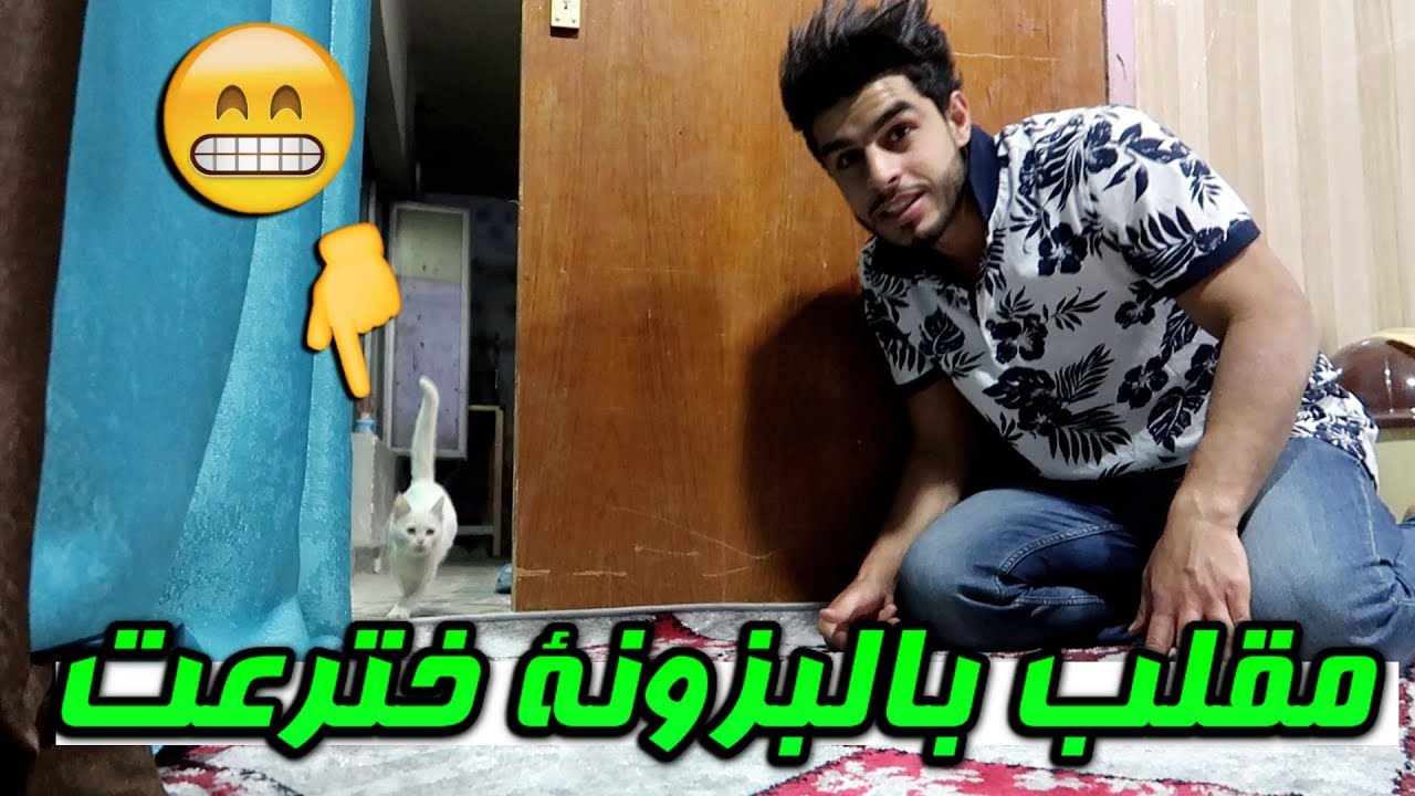 المرور وكف السير علمودي😎 #شلكيت بالطريق ؟ #عمار ماهر