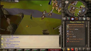 Aratee - 317 - 419 animations - Runescape Private Server - RSPS - New rsps - 2006 RS - Clan Wars