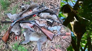 Monkeys With A Shotgun 13 Down 2 Not On Camera