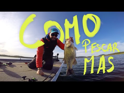 Video: Consejos De Pesca