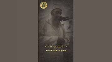 سورة سبأ الآية 14 تلاوة الشيخ سمير عومر #اكسبلور