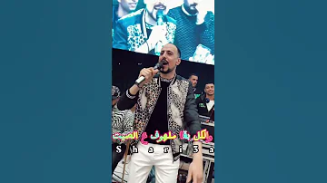 الهيبه ملهاش مواعيد وربنا يستر ع الهلافيت معلمين بشنبه بتخيب محمود شريعة Shorts 