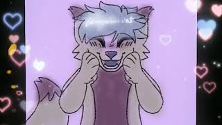 Cats Animation Meme (Filler)