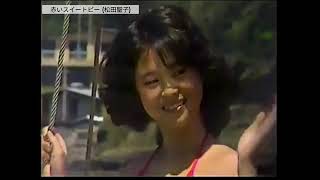 赤いスイートピー (붉은 스위트피 / Red Sweetpea) / 松田聖子 (마츠다 세이코 / Matsuda Seiko)