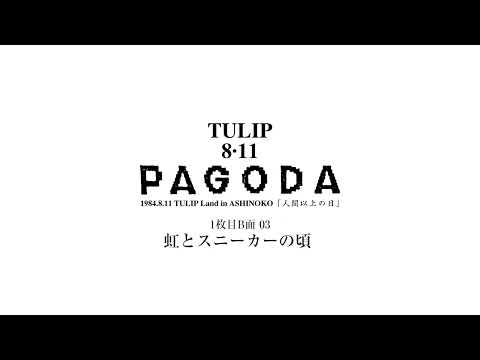 TULIP　PAGODA　虹とスニーカーの頃