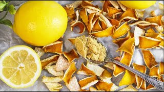 Lemon Orange Pulp & Peel Citrus Skins Fruit Dregs Fruits Pomace Drying Processing Line || Since 1972