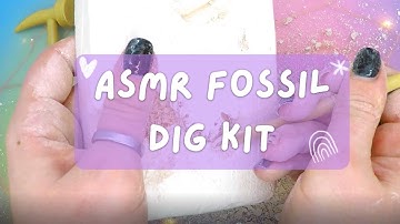 Fossil Excavation Kit ASMR | No Talking Chalk Scratching, Digging, Crushing & Breaking