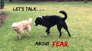 Let’s Talk… About Fear