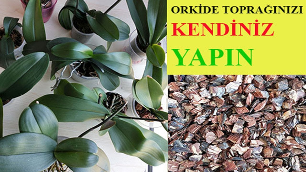 orkide topraginizi kendiniz hazirlayin evde orkide topragi hazirlama do orchid soil by yourself soil youtube orkideler bi tki ev icinde bitki bakimi