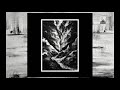 ODIOUS DEVOTION - Morphosis