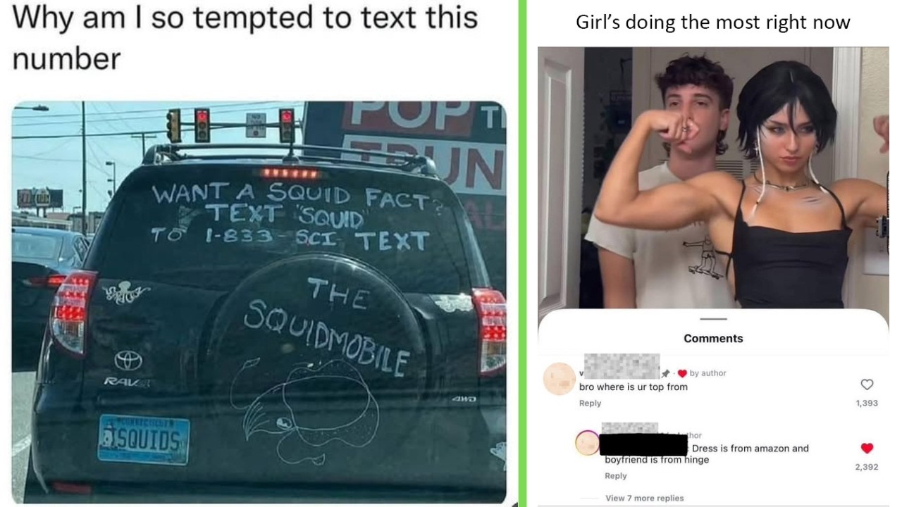 Funny Memes 157 | Girl's doing the most right now