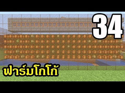 วีดีโอ: ทำไมใน Minecraft เมล็ดโกโก้