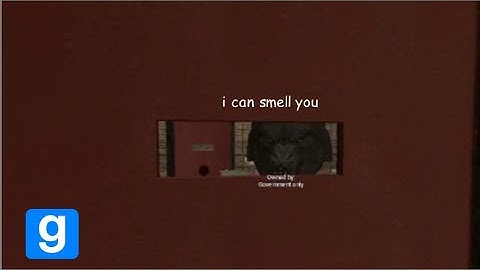 The Gmod DarkRP Experience