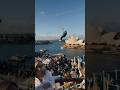 Carnival Adventure Cruise vlogs coming soon