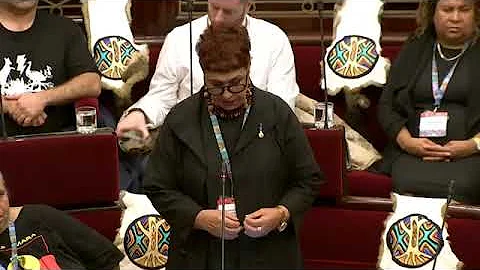 First Peoples' Assembly of Victoria maiden speech ...