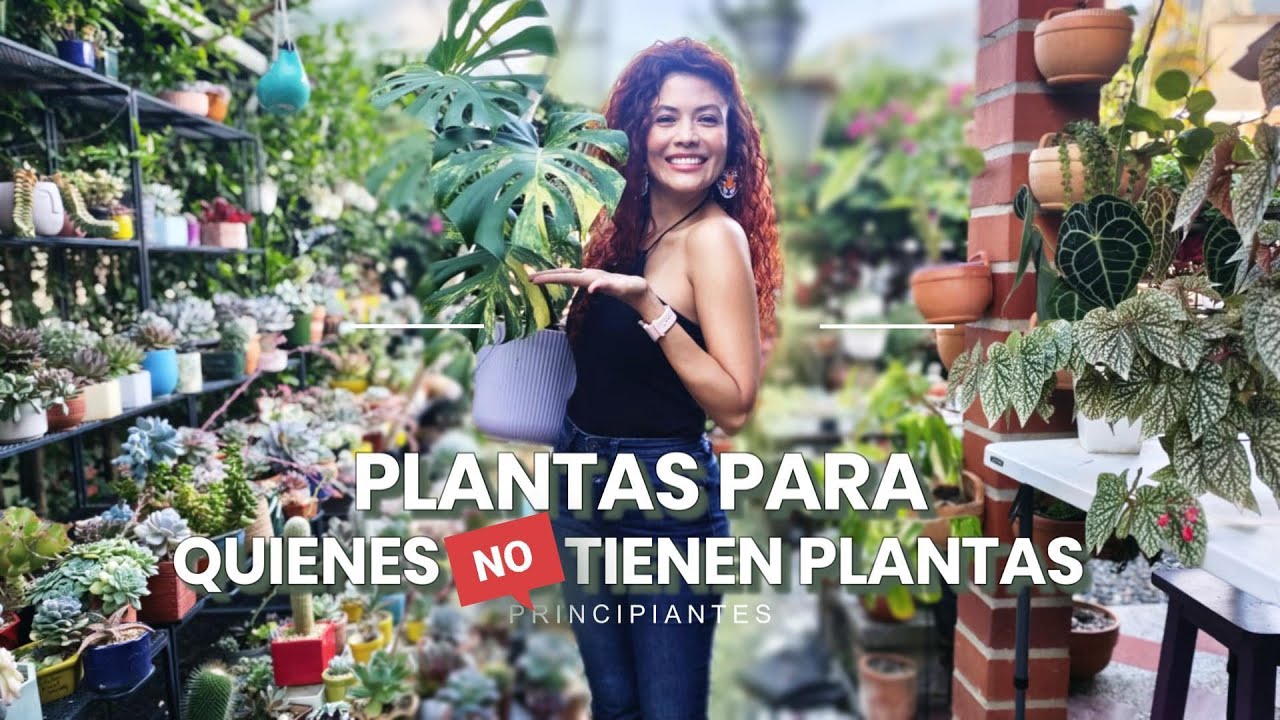 SI PUEDES TENER PLANTAS!!!😲🥰👩‍🌾Recomendadas 2026, MODO PRINCIPIANTE ❤🌿🌵🍃
