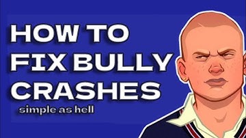 How to fix Bully keeps crashing