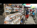 Local fish market Philippines | Amazing salt water fish and other ornamental fishes