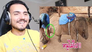 น้องจูเนียร์ จะไปโรงเรียนหรือไม่ไป ของกินเยอะขนาดนี้ - น้องจูเนียร์ Family Ep.98 Reaction