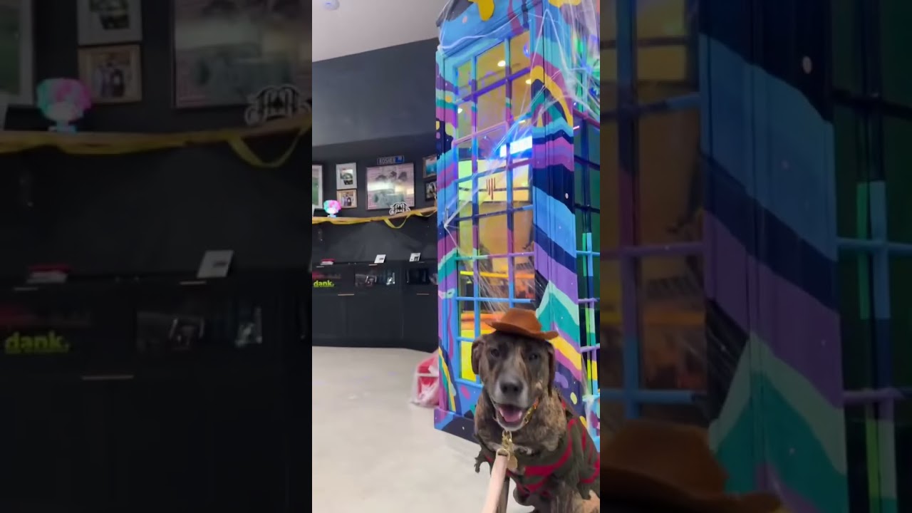 Who knew Freddy Krueger had such great taste in dispensaries? Get your spooky on at The Flowery -