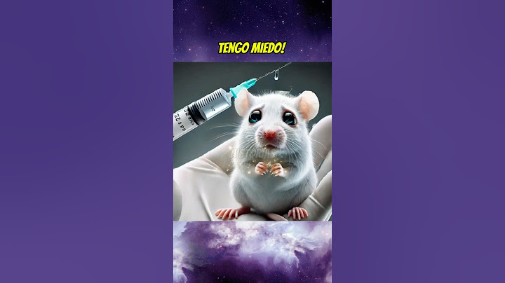 El ratón de laboratorio 🧪 #shortsviral #babyanimal #mascotas #animales #raton #rat #babypet