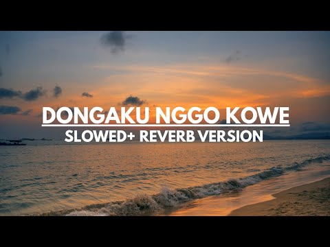 DONGAKU NGGO KOWE ( SLOWED + REVERB VERSION )