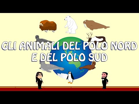 Gli Animali del Polo Nord e del Polo Sud con Pio e Maionese (versi e nomi in inglese per bambini)