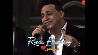 قلب العاشق رضا البحراوى صاحبة السعادة