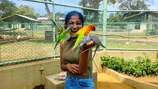 මගේ අත කන්න එපා ‍  Ridiyagama Safari, Birds Park Hambantota