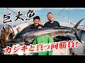 強烈ファイト!44キロのカジキをスタンディングスタイルで釣り上げる 『Standing Hunts 1』<フルver>【釣りビジョン】