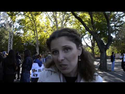 \"შეწყდეს ცხოველთა მიმართ არაჰუმანური მოპყრობა\"